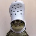 Croc