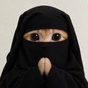 Wallahi