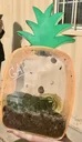 Gary The Snail