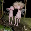 Bluti Fruti Fairies