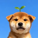 Organic Inu