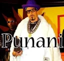 Punanicoin