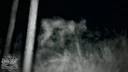 skinwalker