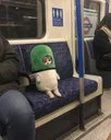 pumpcat