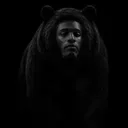The Black Bear