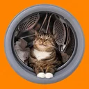 Launder Cat