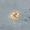 The Nietzschean Dog