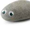 Pet Rock