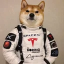 SpaceXSITeslaBoringaLink Inu