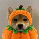 Pumpkinu