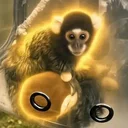 The Illegal Marmoset