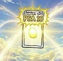 Psa 10 Coin