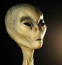 Aliens are real