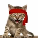 Roaring Kitty