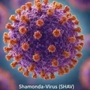Shamonda virus