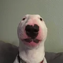 walter
