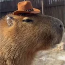 Capy Wif Hat