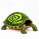Jensen the Turtle