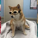 Archie