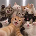 Squad