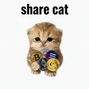 sharecat