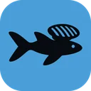 Remora