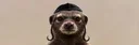 The Honeybadger