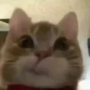 jeff