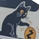 The Zecsy Cat