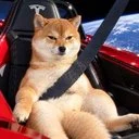 Buckle Up