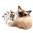 CAT-K