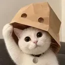 Doxxed Cat