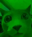 Green Cat