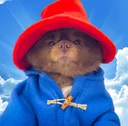 Bertram The Pomeranian
