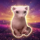 Bingus the Cat