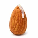 nut