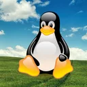 Linux Penguin