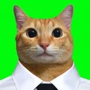 alpha