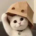 DOXXED CAT