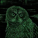 Hoot