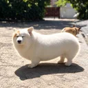 corndog