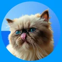 Mister Miggles