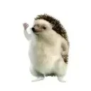 Tesla Hedgehog
