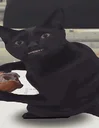 偷吃黑猫