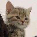 smirkcat