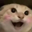 哈基米