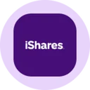 iShares China Large-Cap ETF (Ondo Tokenized)