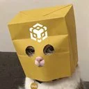Private Cat