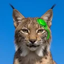 Neuralynx