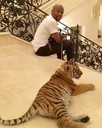 Tiglets